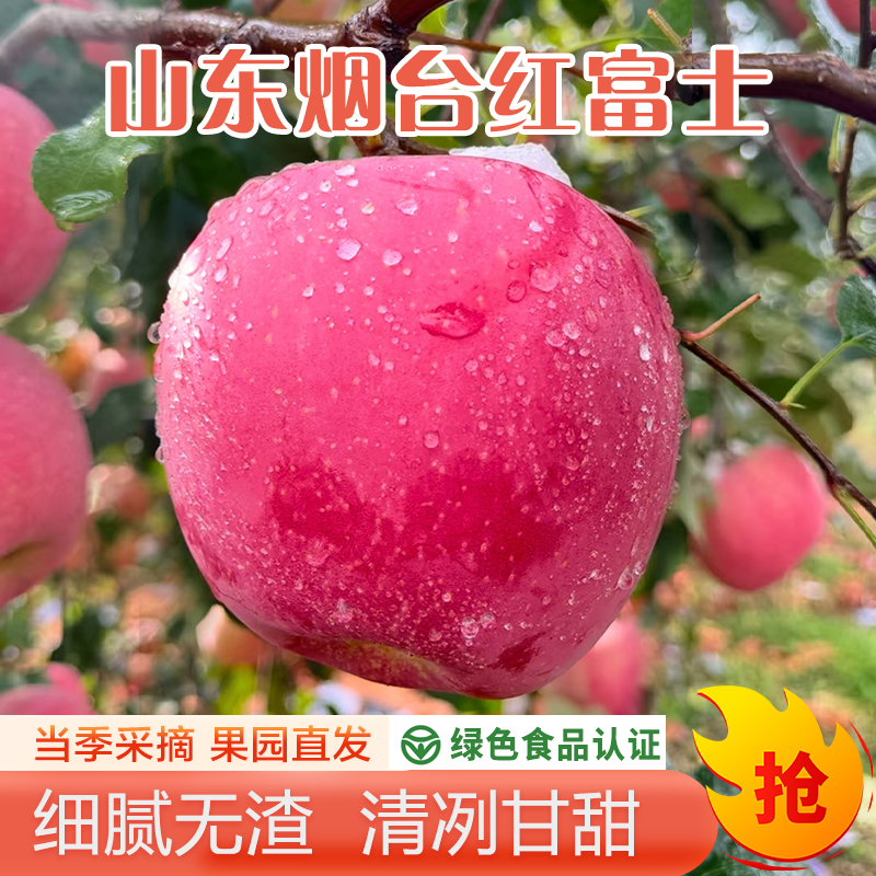 超值装 烟台栖霞【产地直发 绿色食品认证】霜降红富士苹果
