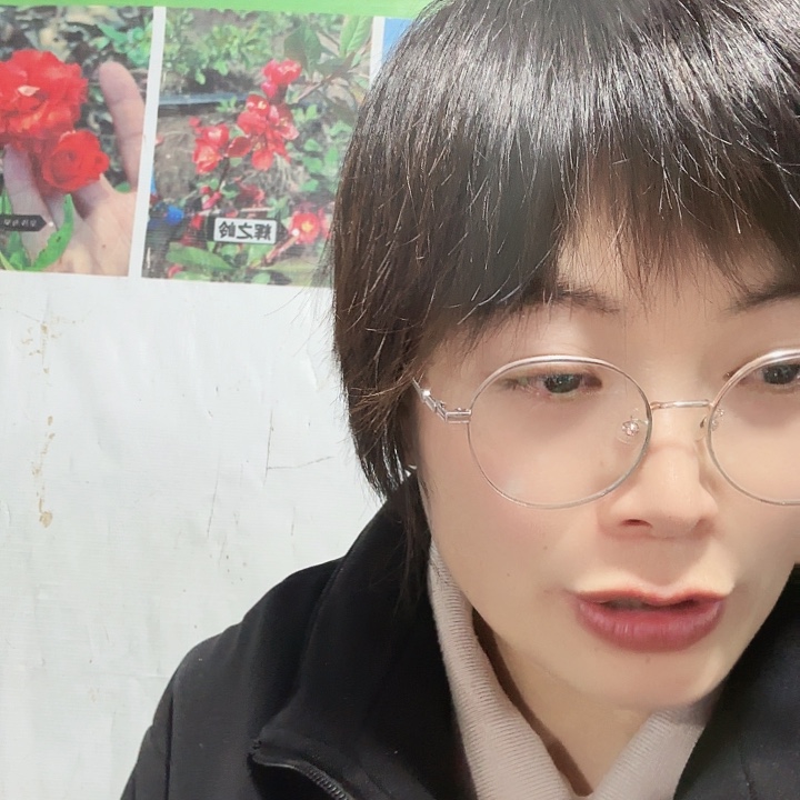 完全开放两年榠栌一棵