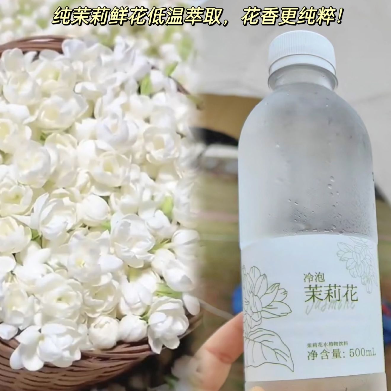 冷泡茉莉花水白兰花水配料表只有花和水天然健康夏日饮品校园矿泉