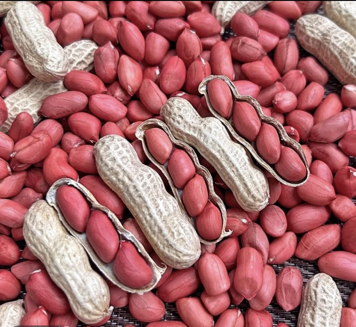 【阿Q村长】江西新余农家特产红皮花生