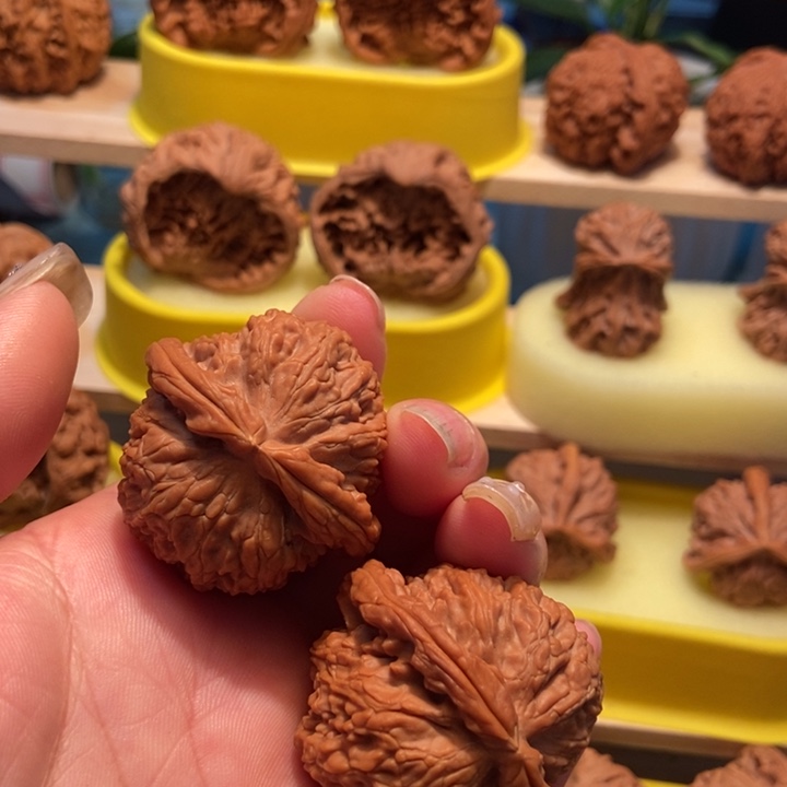 官方网站发布消息显示