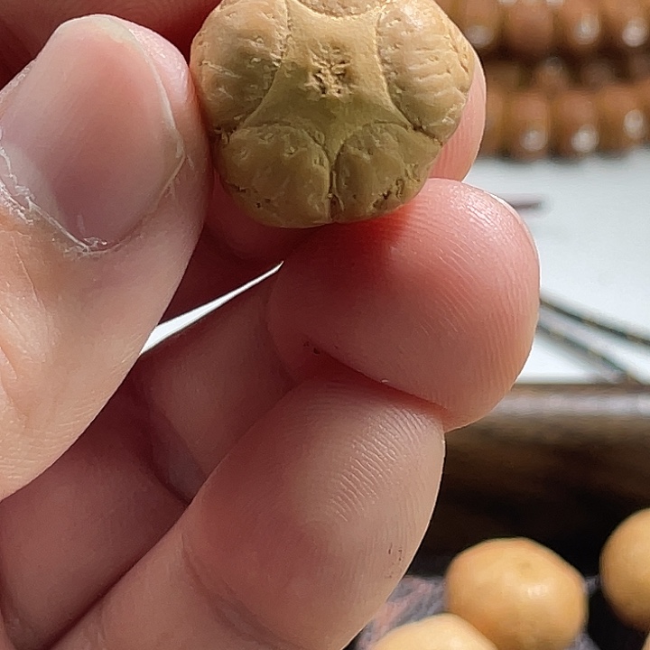 f***r吊坠凤眼菩提尼泊尔小