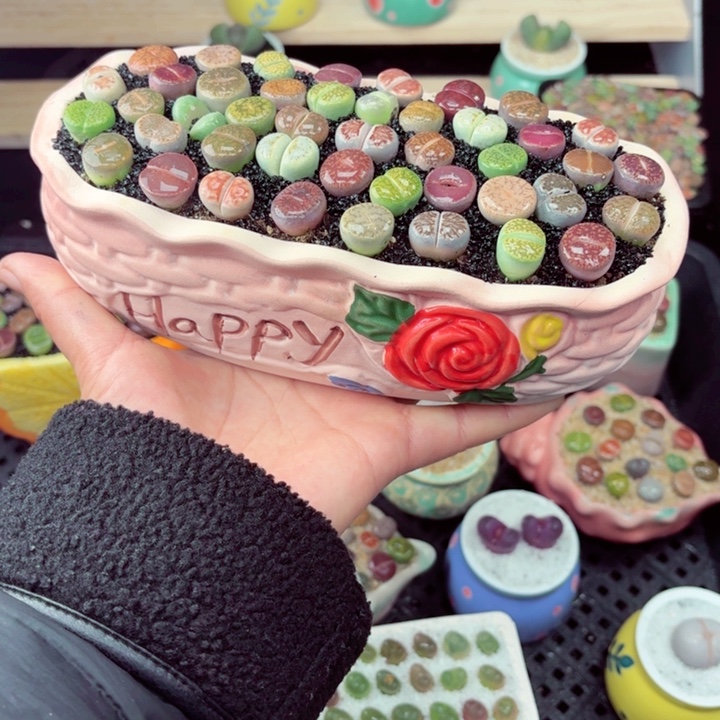 560零下地区记得拍保温箱满18包邮