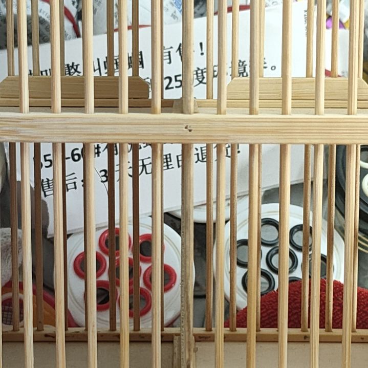 东***蟋蟀我在这里等你们