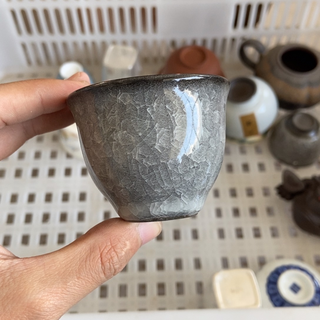 杯直播链接直播链接