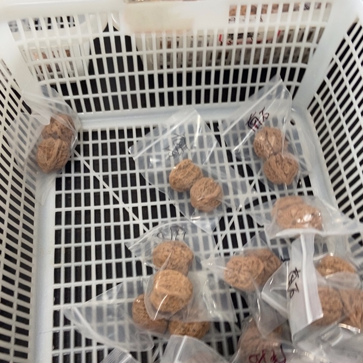 吊坠文玩核桃小南疆瑕疵