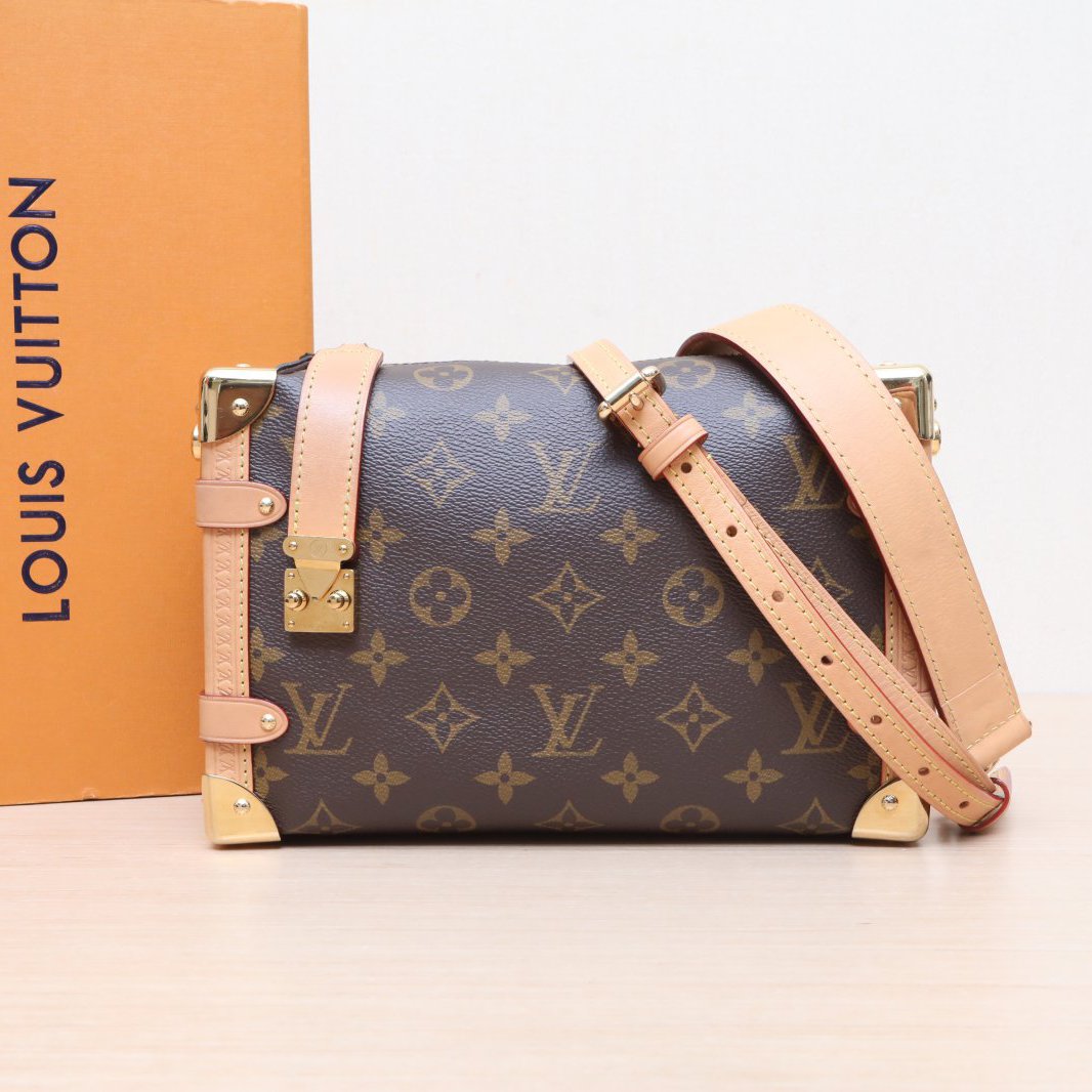 95新 LouisVuitton/路易威登 小花双双 软盒子包 大号 老花 芯片