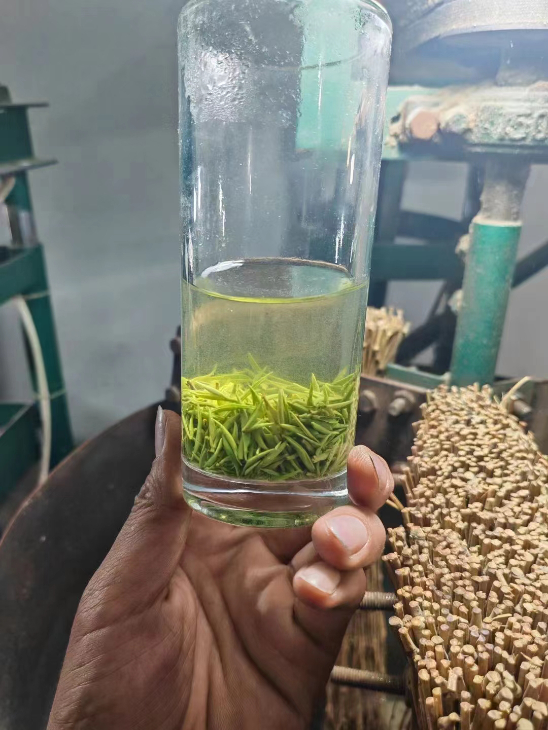 【福利小米芽】2025年信阳毛尖 明前小米芽 清香 回甘 老旱茶嫩芽 