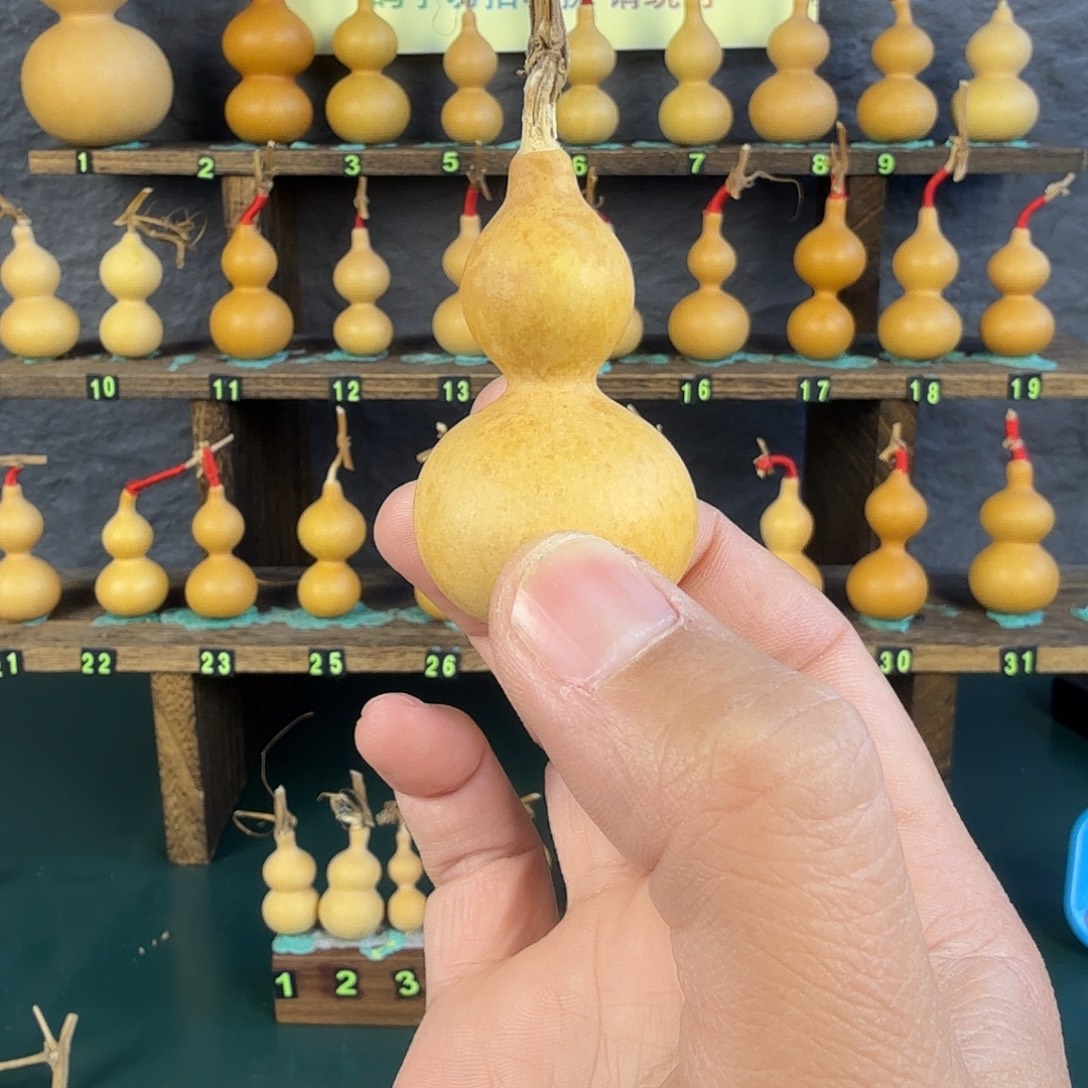 阿***七葫芦葫芦葫芦葫芦葫芦