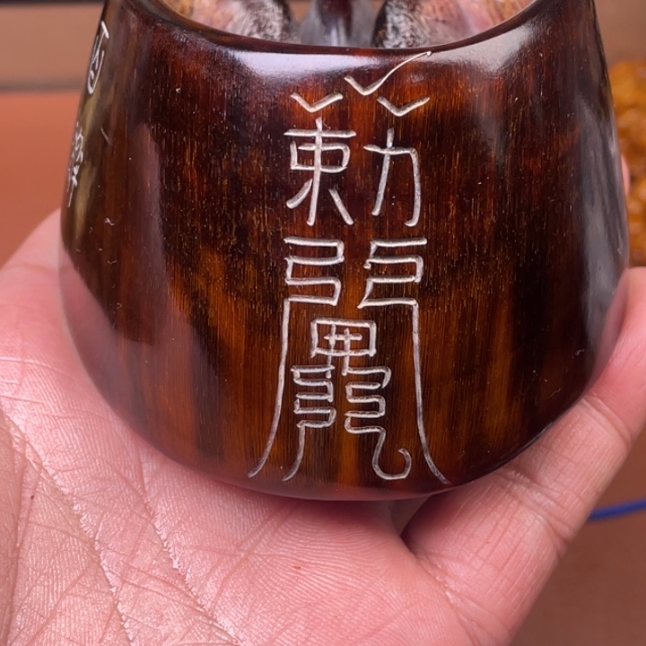 驼骨其他人工养殖
