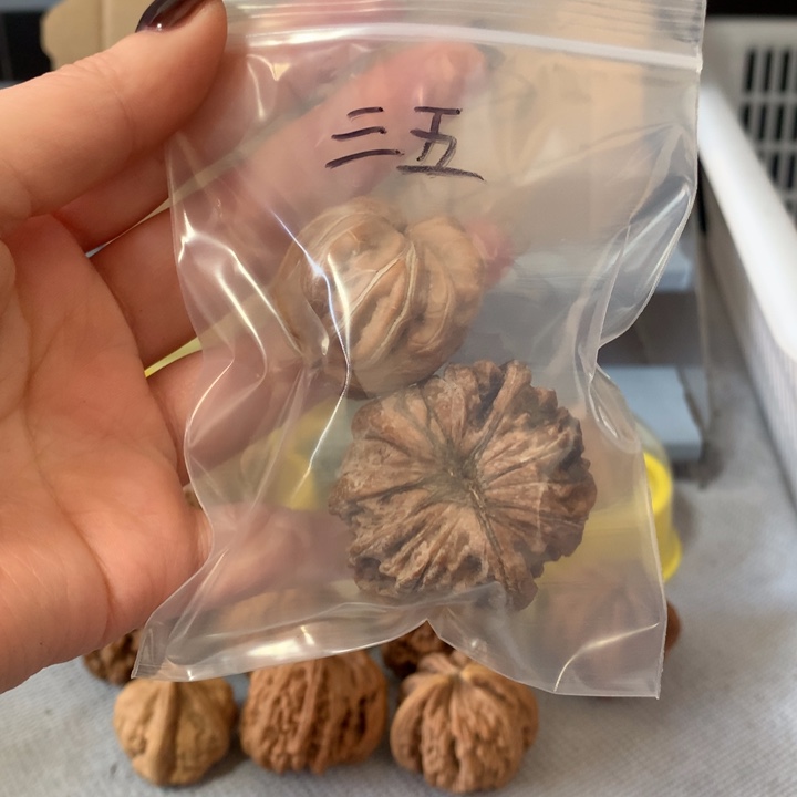 三***五文玩核桃吊坠异形单只，有瑕疵