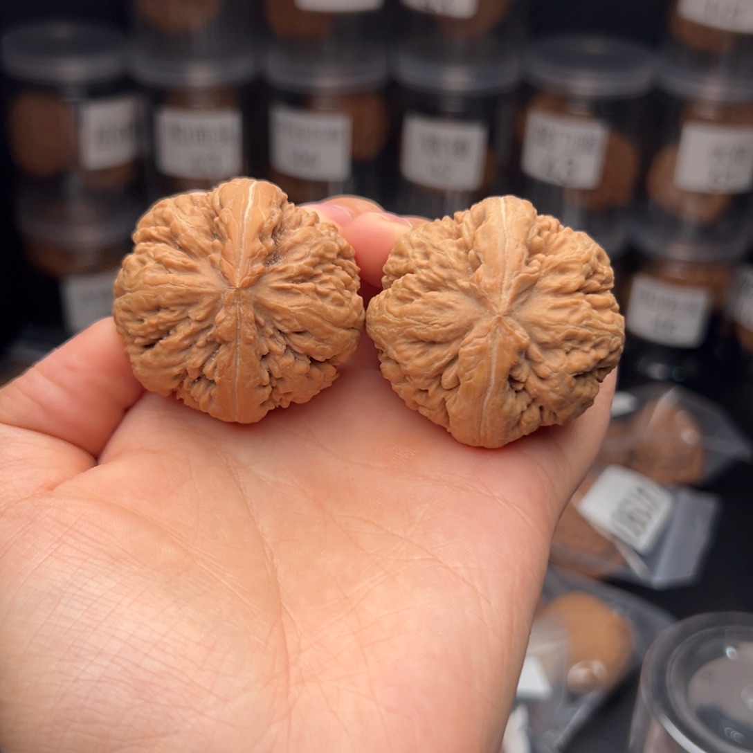 文玩核桃吊坠摘****食霸王龙