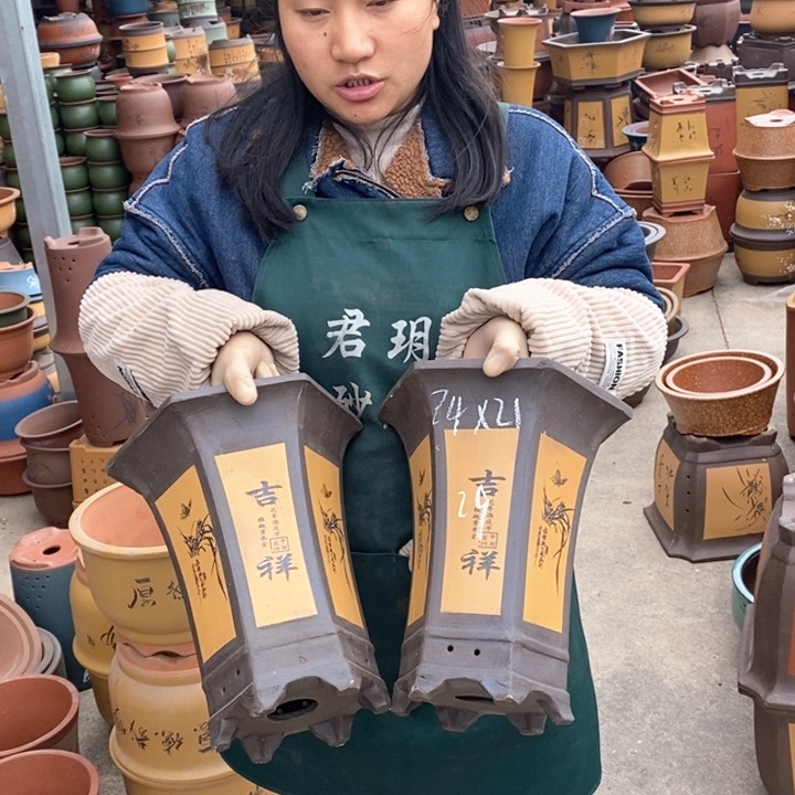 紫砂花盆盆栽花卉苗木种植