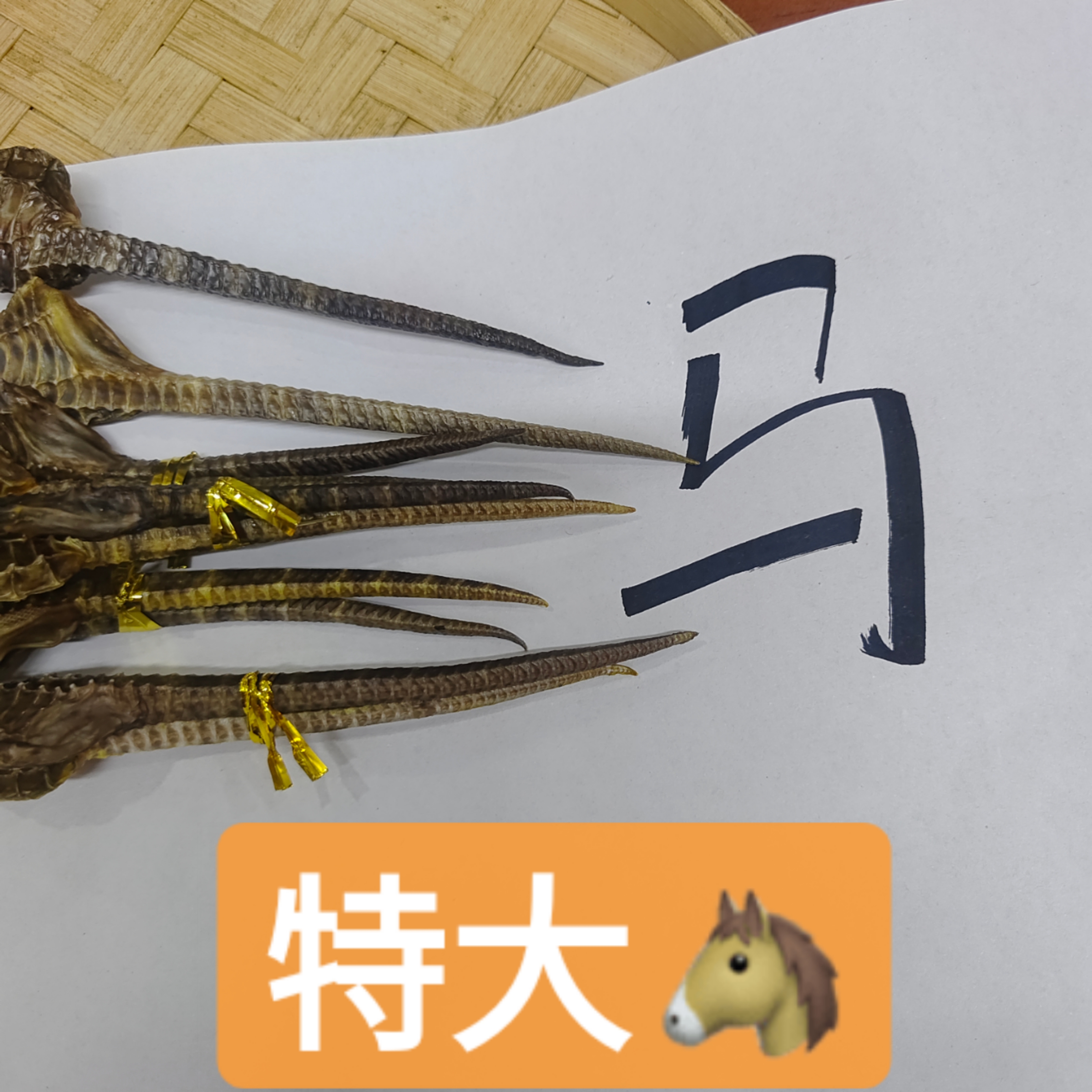 特大号马鱼干高高汤 可泡酒炖汤 天然生晒足干