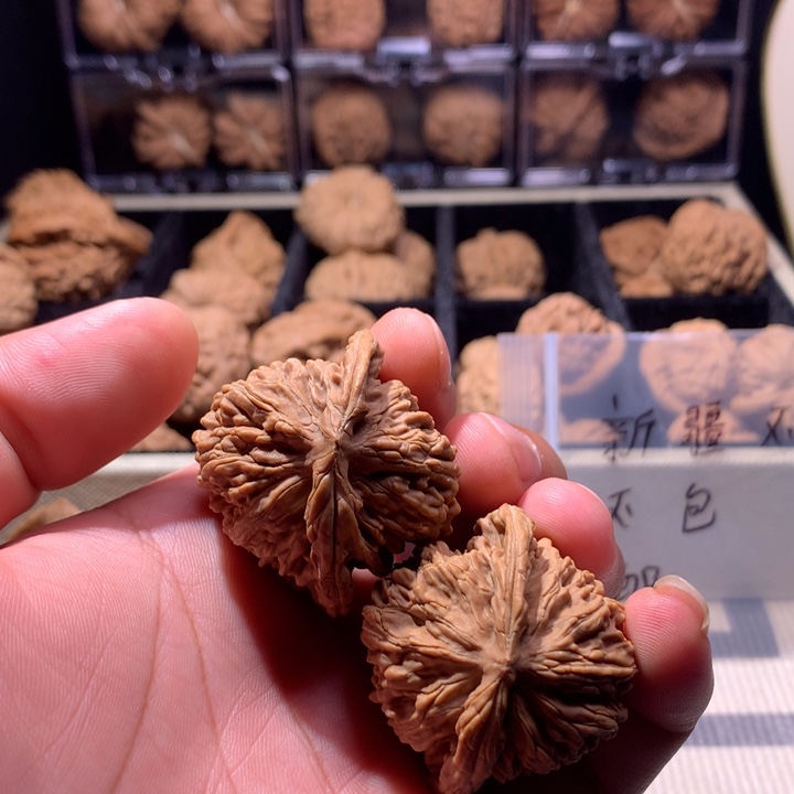 龙脊菩提吊坠全品菊花底四座楼