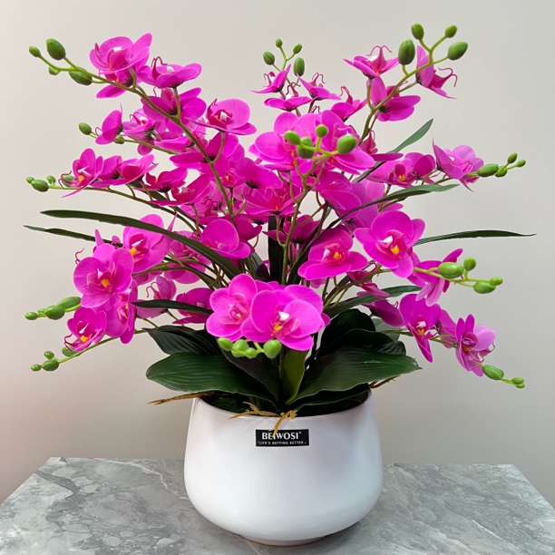 仿真花小蝴蝶兰高品质花艺装饰直播间卖花灵动田园浪漫客厅摆设