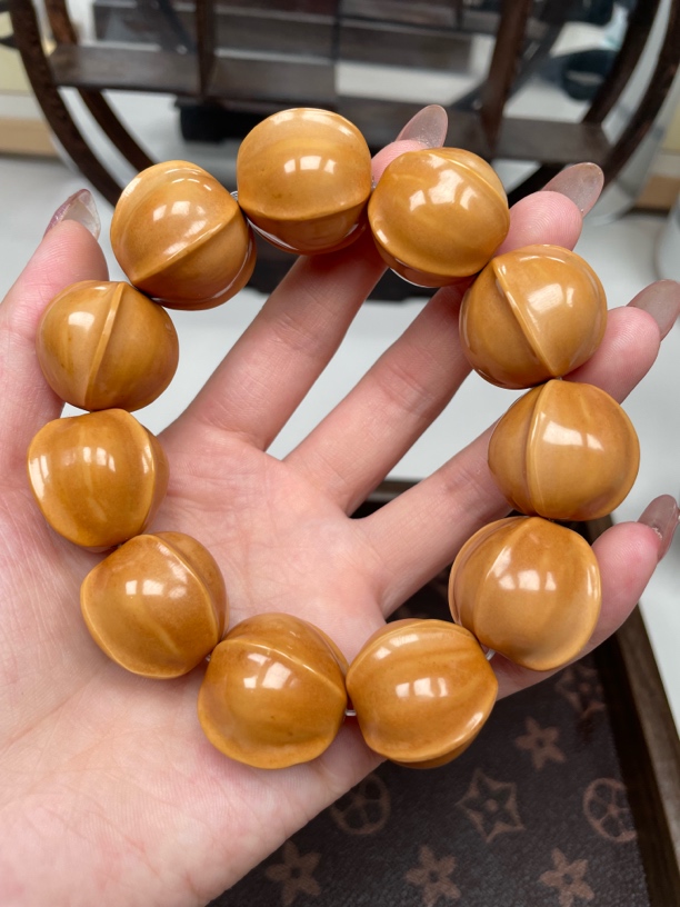 原皮原色四花鲨鱼贝 卡尺25+