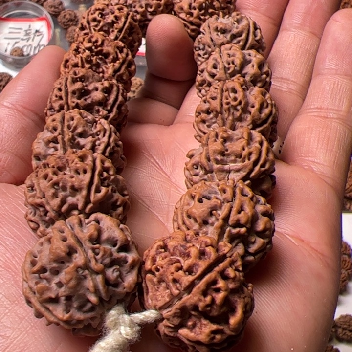 金刚菩提手串24安娜粗筋双龙