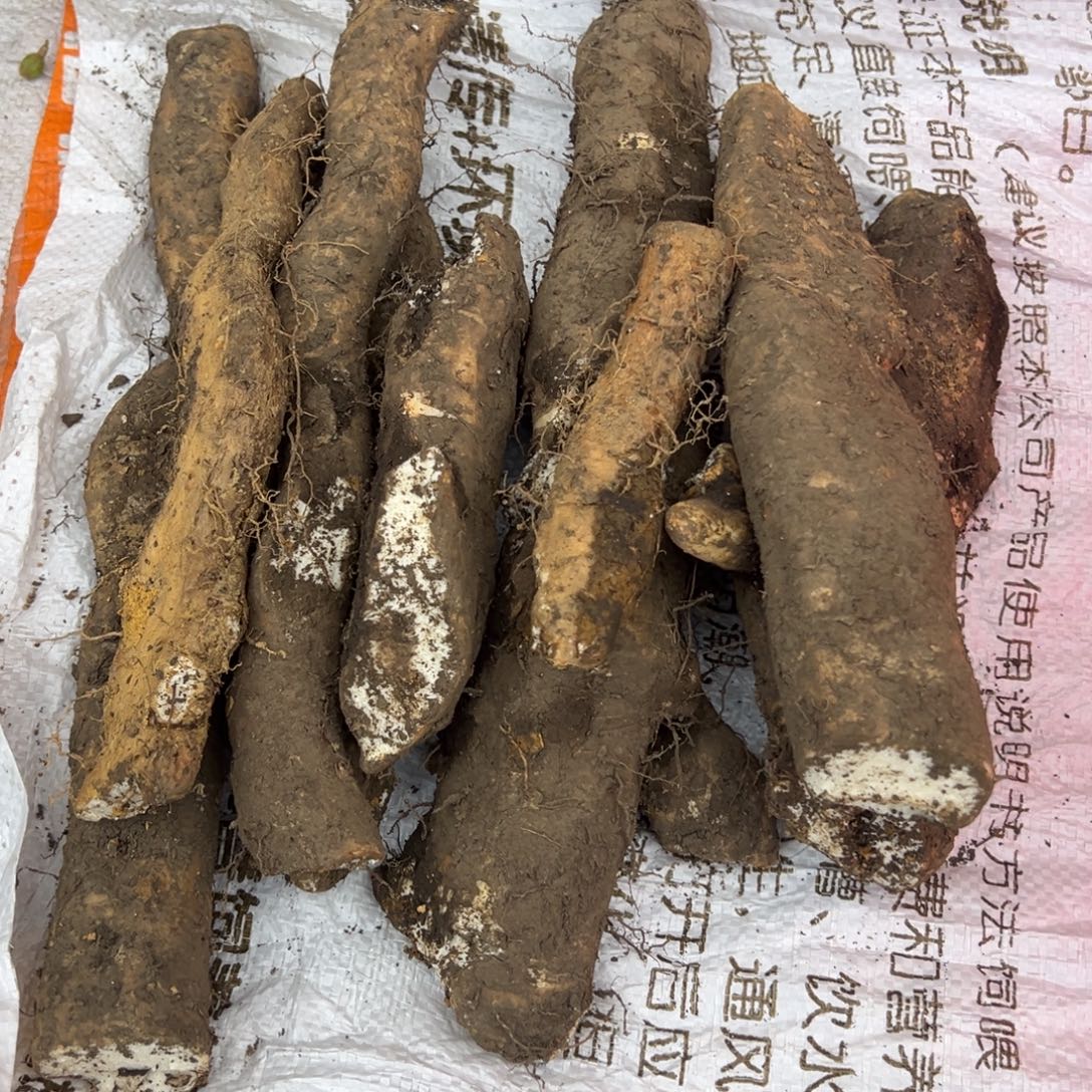 中国大陆三都山药2斤代购
