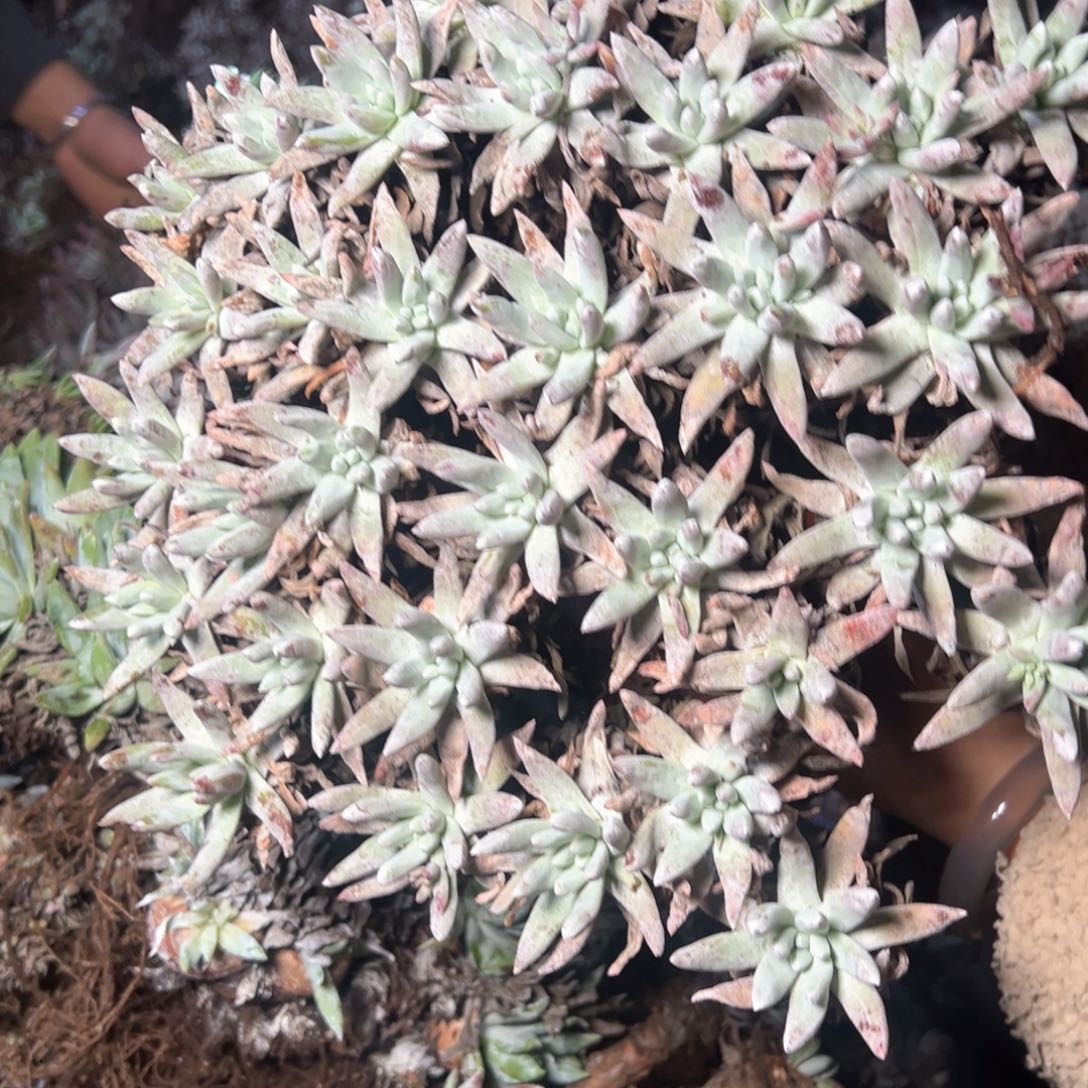 5721哈哈哈哈哈哈哈哈