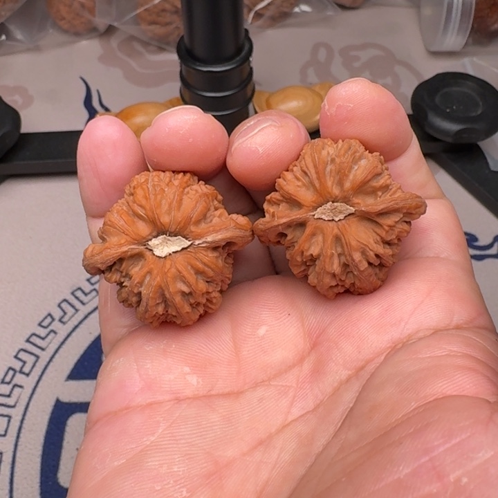 桃核把件山地密纹36+尺11