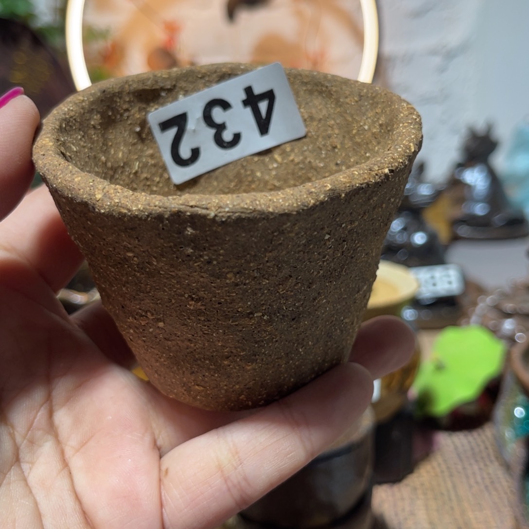 木村信弘柴烧保平