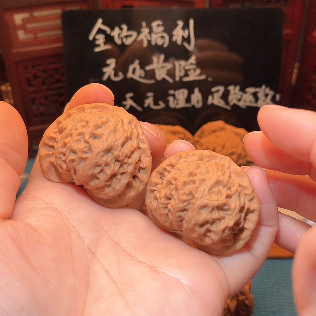 42全品宫灯，邢台老树……