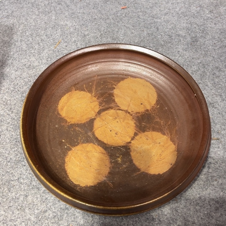 备前茶具发发发发