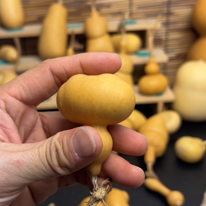 E****）葫芦葫芦葫芦葫芦葫芦葫芦