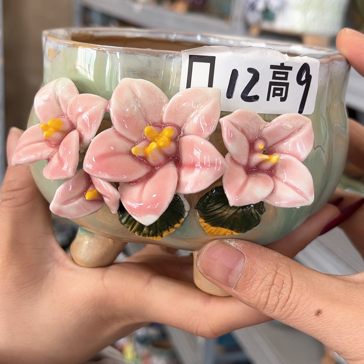 【闪购商品】红陶福利