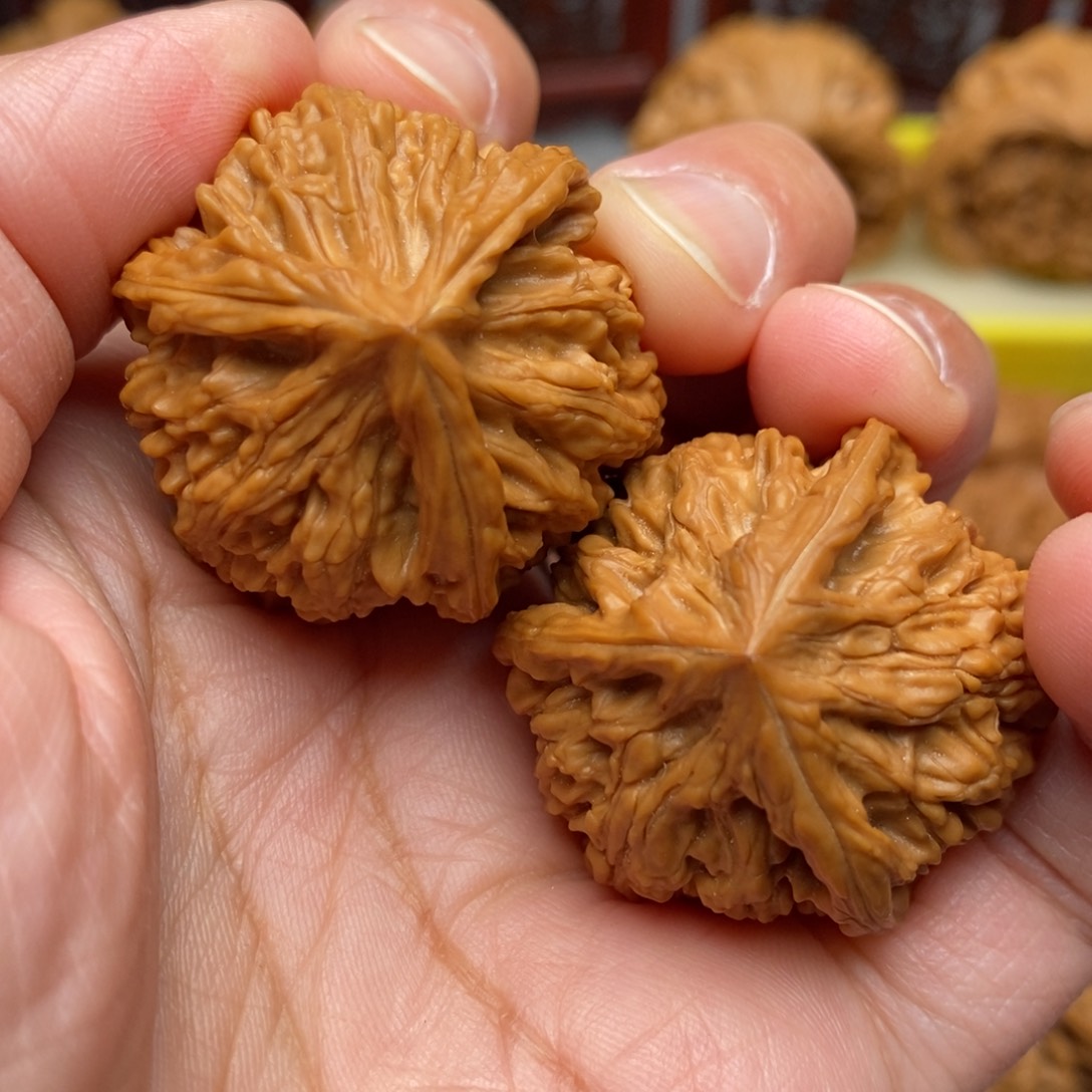 文玩核桃把件全品毕业御龙奔奔34尺