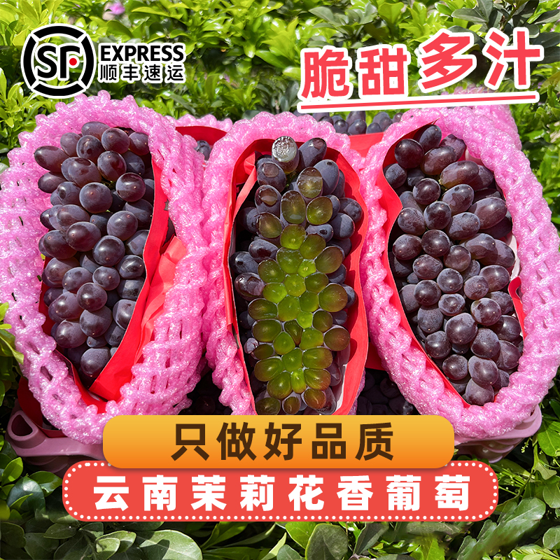 (顺丰速发)新鲜无籽茉莉香葡萄当季应季水果玫瑰香甜孕妇适用