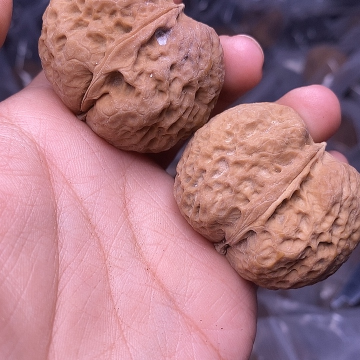 文玩核桃把件   147