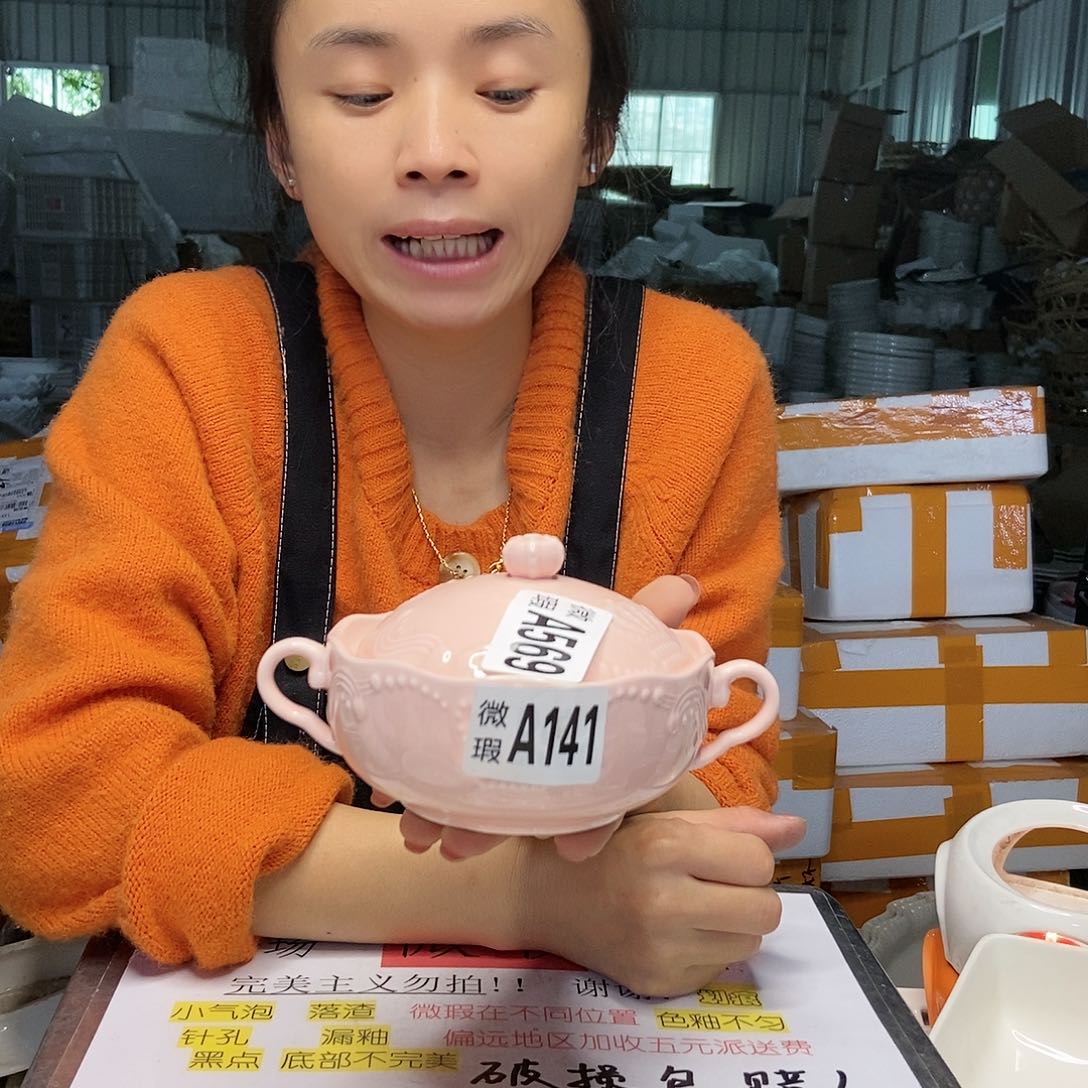【闪购商品】碟工厂库存微瑕产品141两个