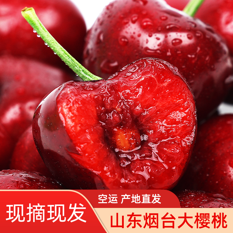 【顺丰空运众鼎专属】烟台小规格樱桃整箱5斤+早上摘晚上配送保鲜质