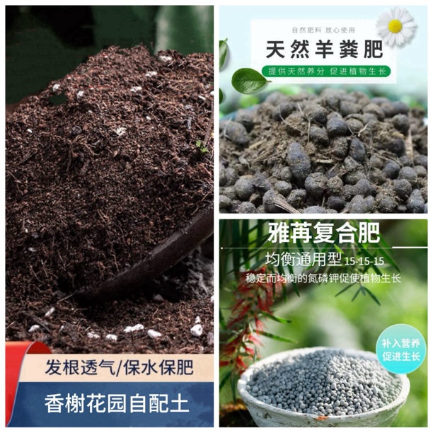 【香榭花园自配土&羊粪颗粒&复合肥】散装绿植月季盆栽通用！