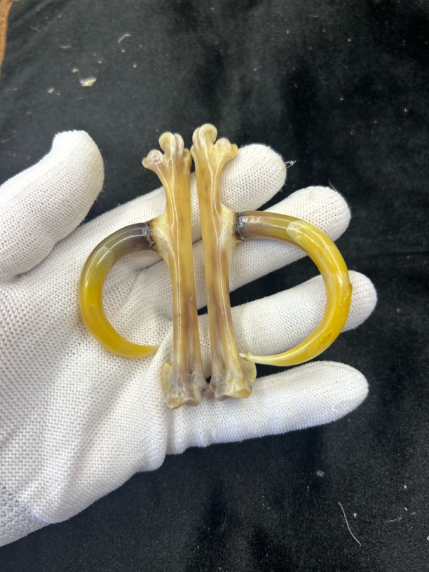 鸡爪骨鸡蹬子钥匙扣下单带油装饰手套