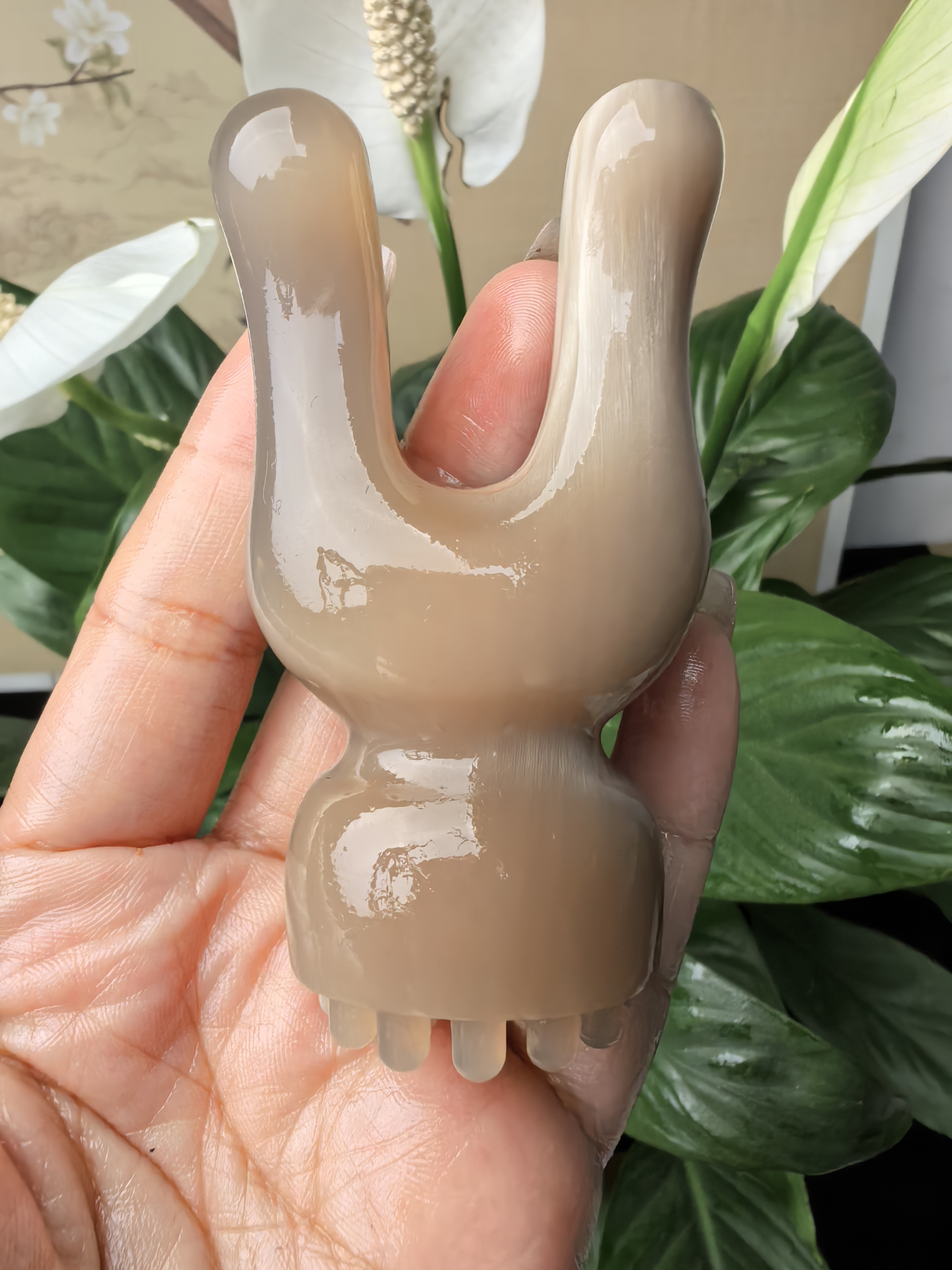 白水牛角兔兔莲蓬颜值爆表钙化优秀精美家庭日用必备品百货