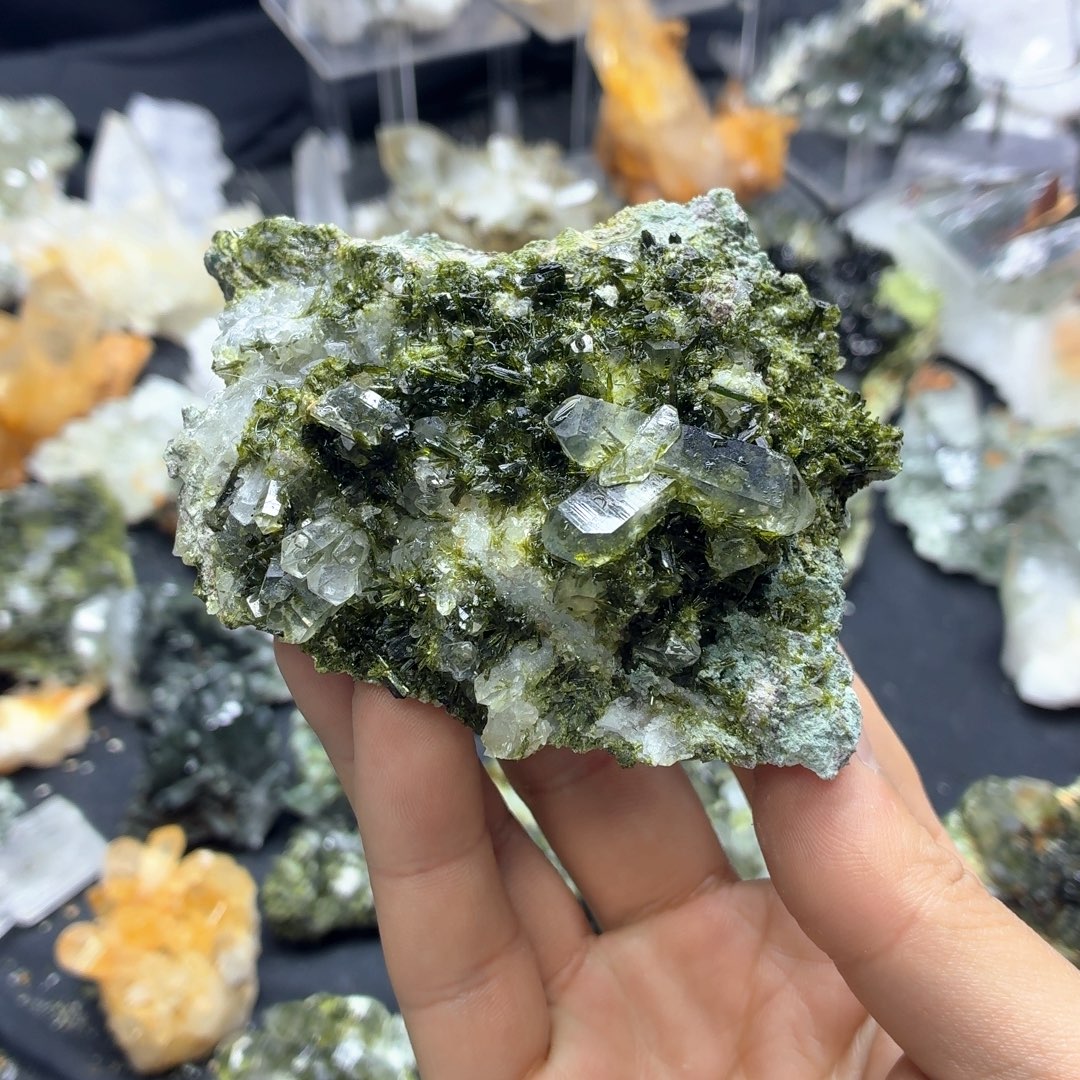 石材新绿绿帘景色家园