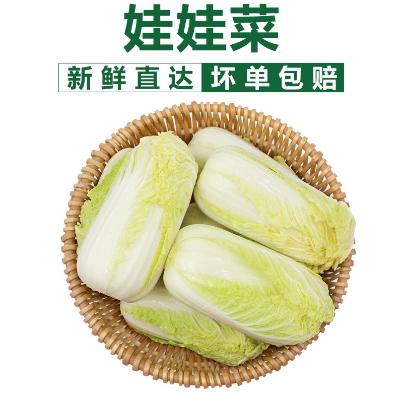 【露天种植】9斤/5斤河南露天霜冻大娃娃菜无筋无丝脆嫩多汁