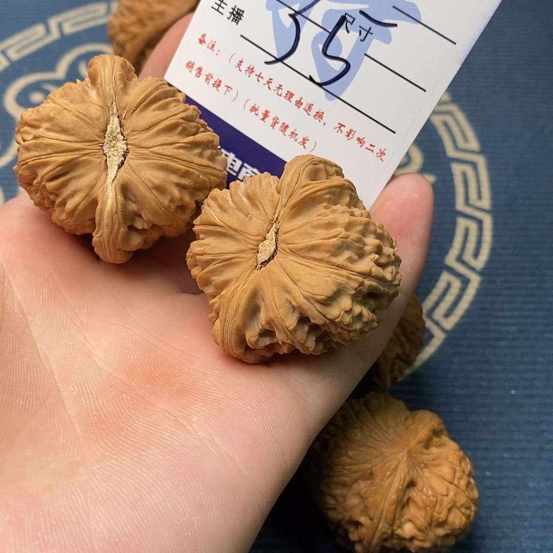 欲****.白狮子以后天天放入通过v分