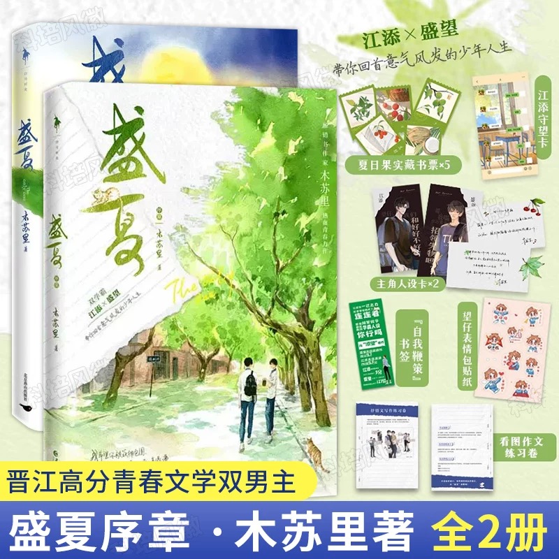 2册全套盛夏正版小说典藏版晋江文学城人气作家木苏里江添盛望热