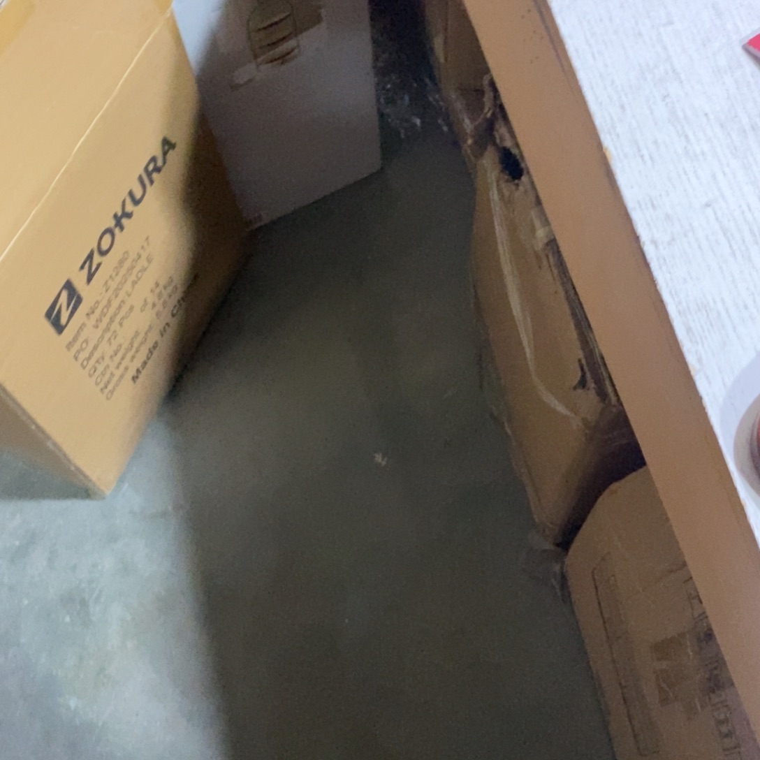 M***g101孤品一单一单一单