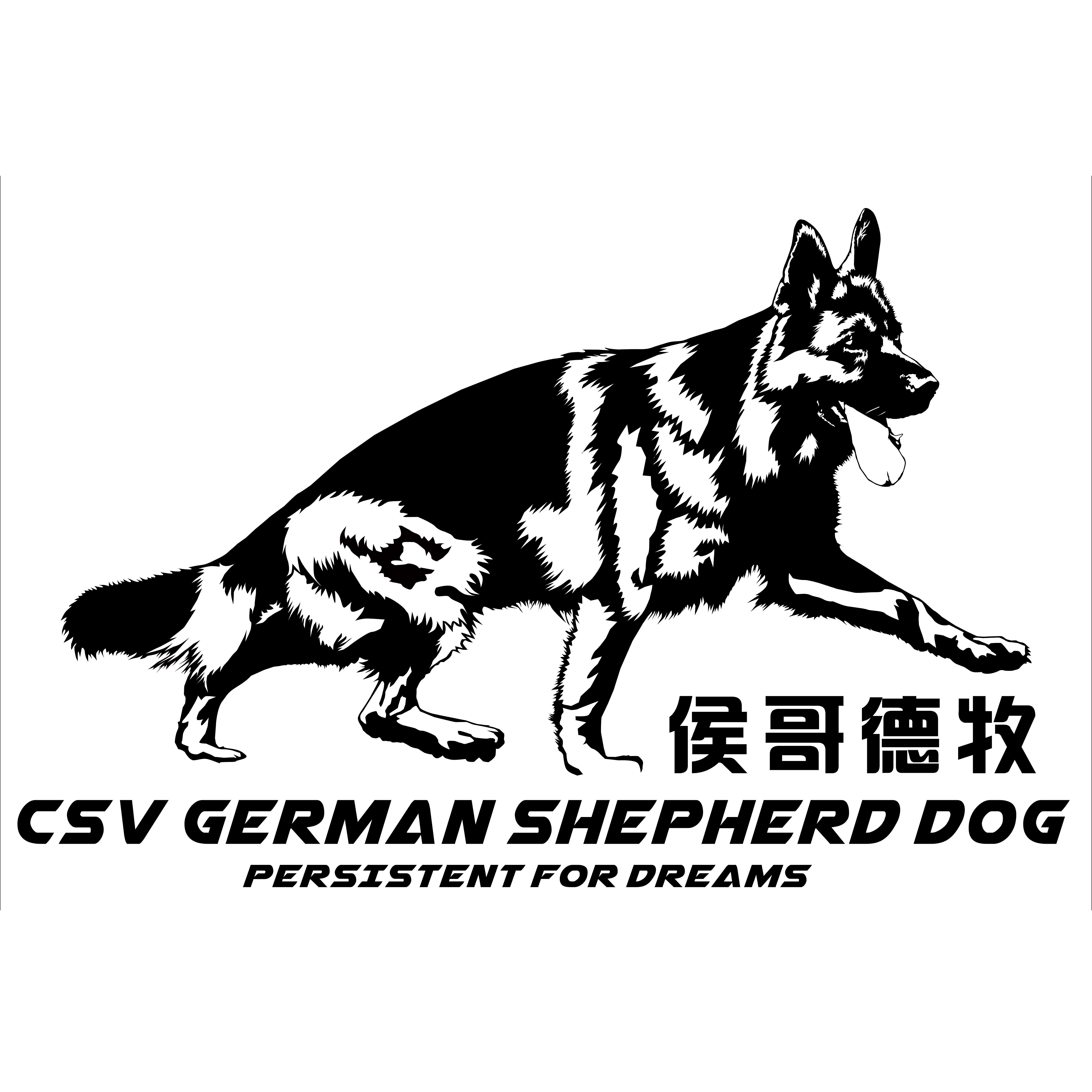 【西德甄选】活体犬只定金&尾款-新客勿拍
