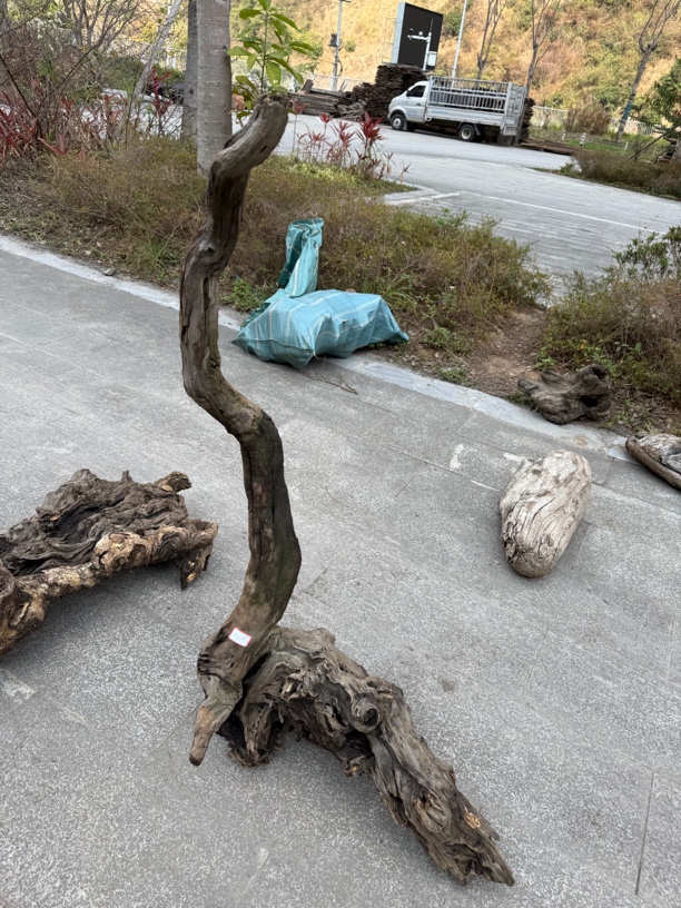 民间使用风化木阴沉木