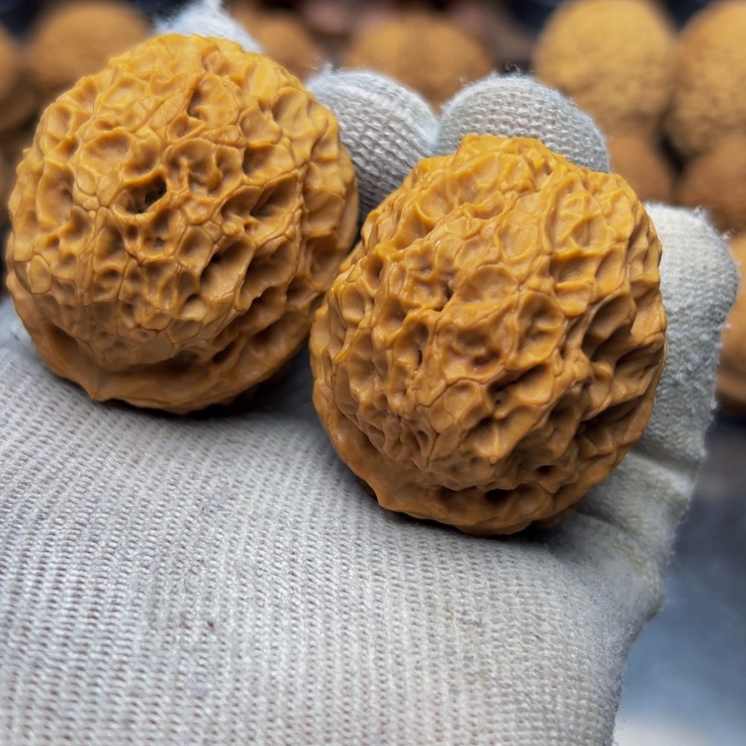 天*43尺寸麒麟绣球 一物一图