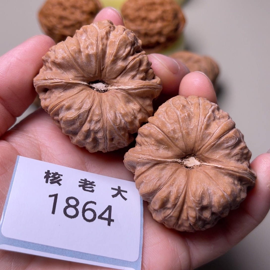 ~***～把件文玩核桃南瓜墩 1864