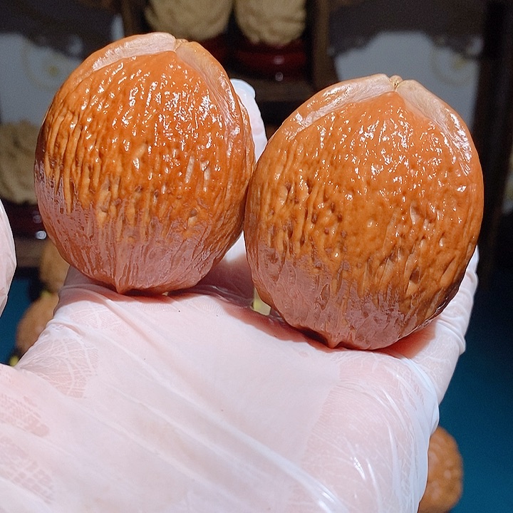 野生三花大橄榄雷公核4556