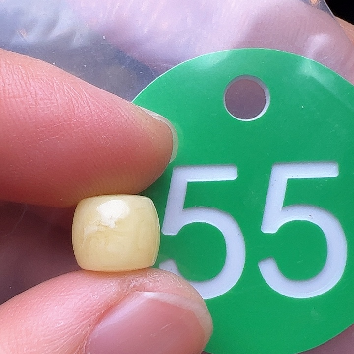 蜜蜡裸石未镶嵌皮点8.6m m