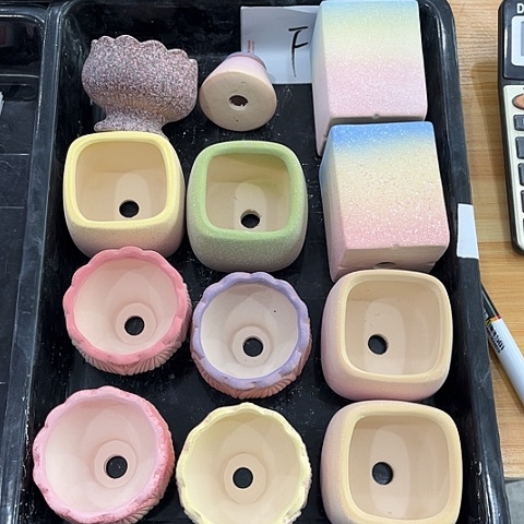 陶fan小哥哥专属多肉盆盆